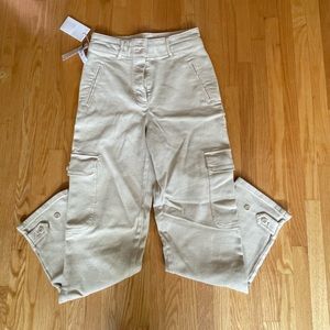 Aritzia Wilfred Free Modern Cargo Pants